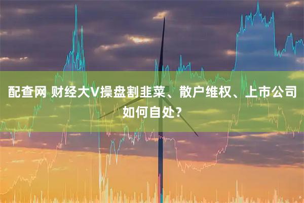 配查网 财经大V操盘割韭菜、散户维权、上市公司如何自处？